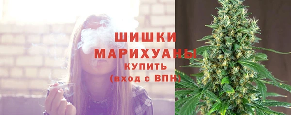 прущие грибы Баксан