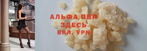 прущие грибы Баксан