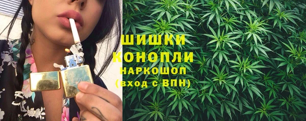 прущие грибы Баксан
