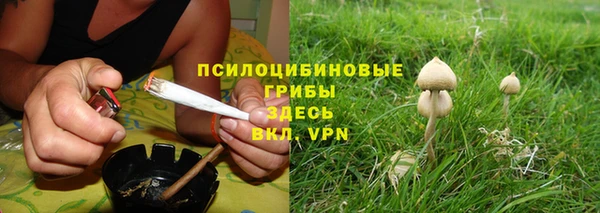 амф Балахна