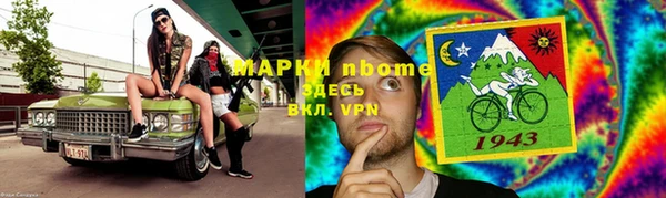 прущие грибы Баксан
