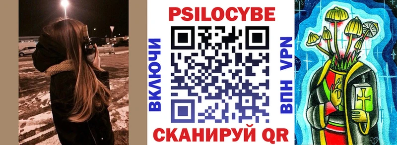 Псилоцибиновые грибы мицелий  Судак 